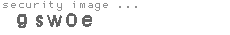 security code