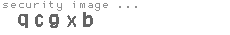 security code