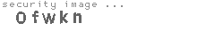 security code
