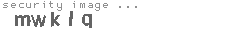 security code